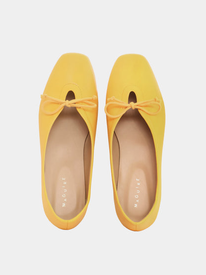 Prato Sunflower Ballerina