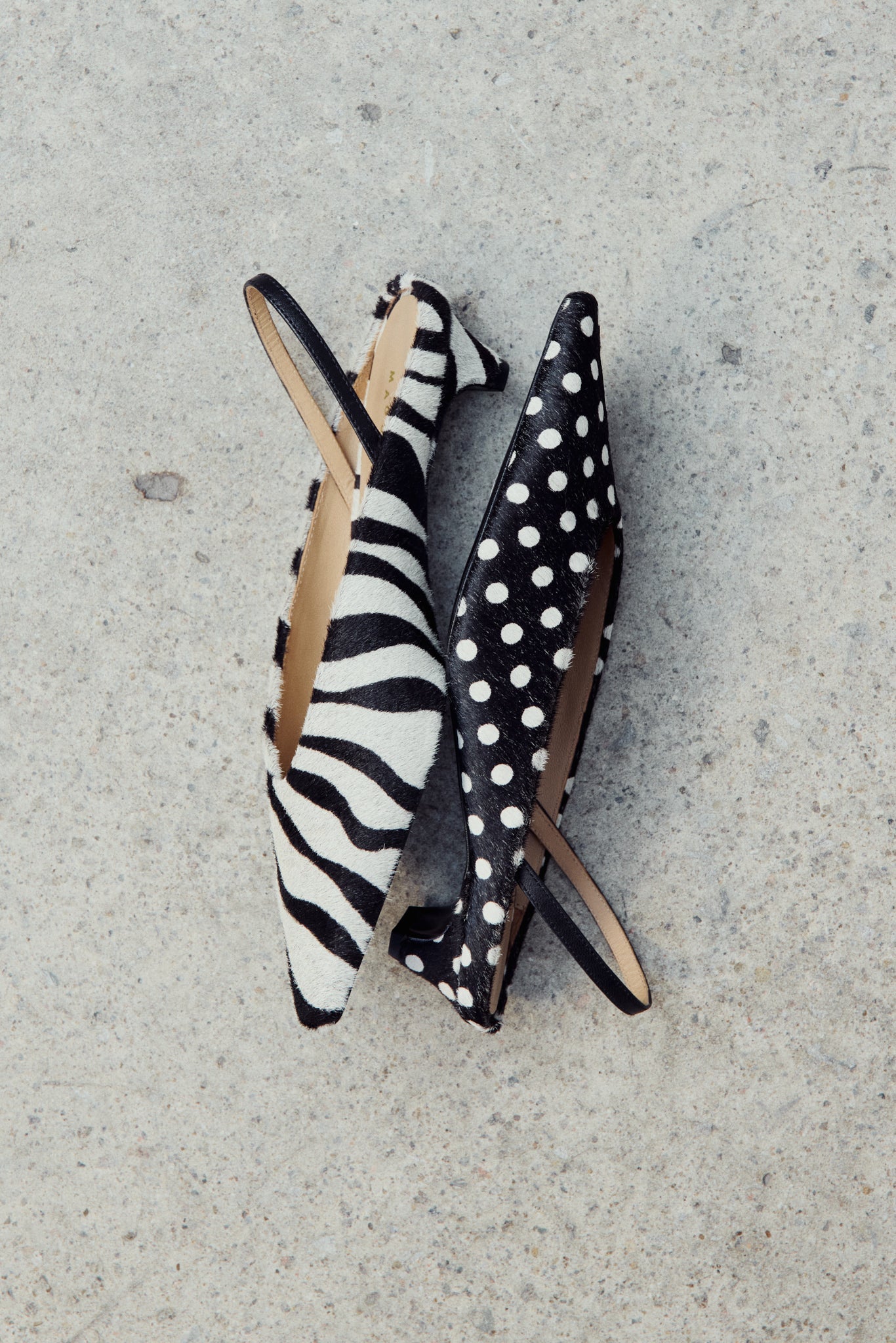 Floresta Zebra Pump