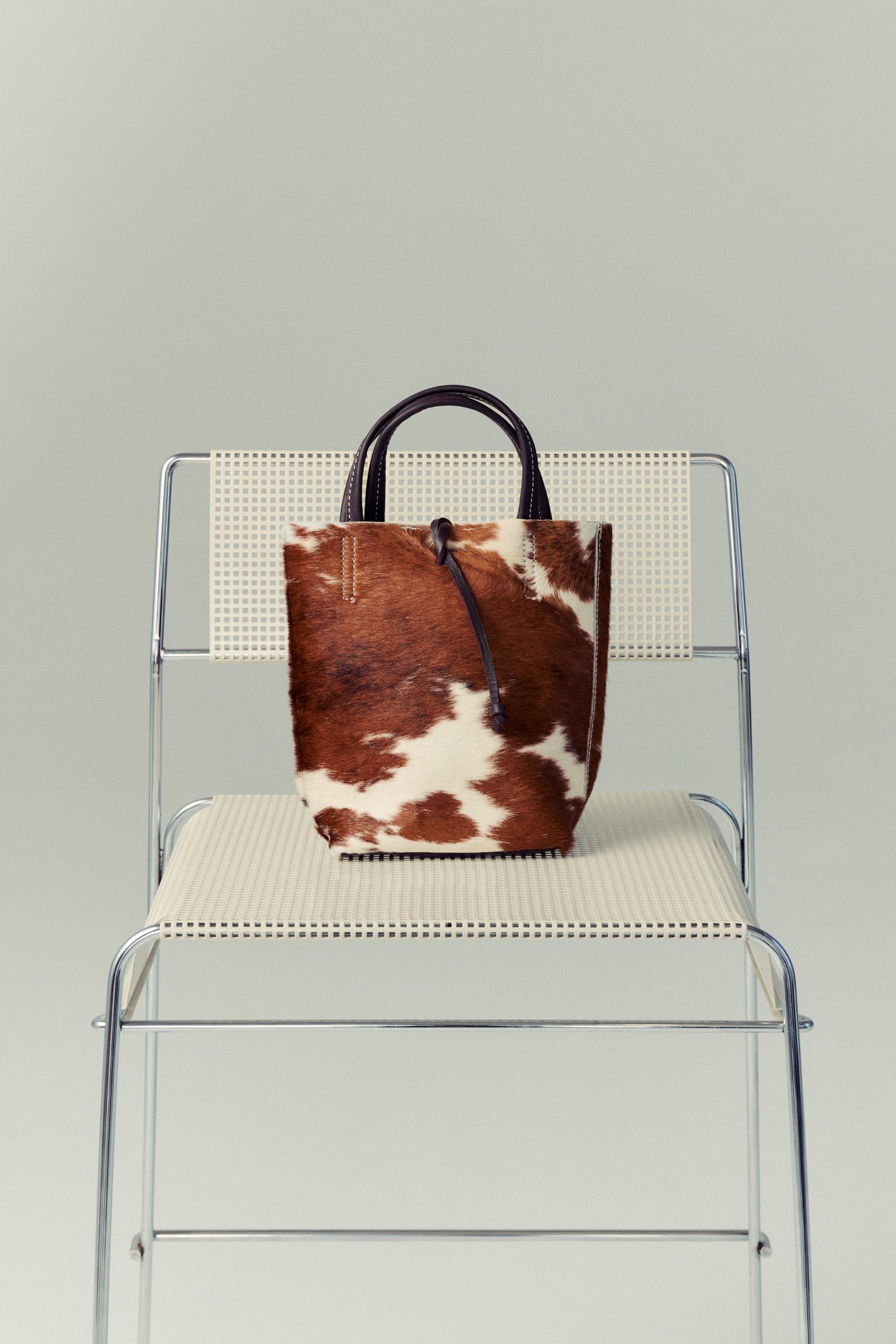 Carpi Mini Cow